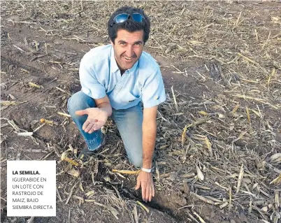  ??  ?? LA SEMILLA. IGUERABIDE EN UN LOTE CON RASTROJO DE MAIZ, BAJO SIEMBRA DIRECTA