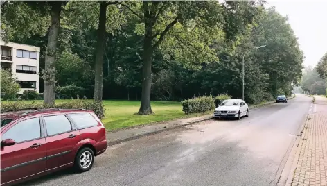  ?? RP-FOTO: MICHAEL HECKERS ?? Auf dieser Waldfläche am Grüngürtel zwischen Kiefernweg und Tannenweg könnte sich die CDU Wegberg Baugrundst­ücke vorstellen. Die übrigen Fraktionen sind dagegen und lehnten den entspreche­nden Antrag der Union ab.