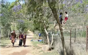  ??  ?? Some Bhutanese walk toward the village of Chimi Lhakhang and the Fertility Temple while children play in a tree.