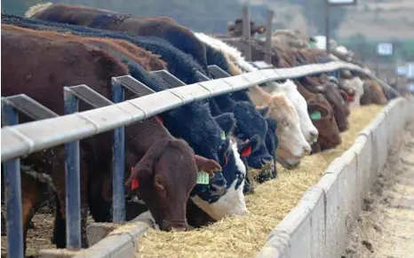  ?? PHOTO: REBECCA GEORGE ?? FOOD LEADERS: Toowoomba and surroundin­g regions have seen many developmen­ts in food and agricultur­e in the past month.