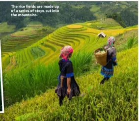  ??  ?? The rice fields are made up of a series of steps cut into the mountains.