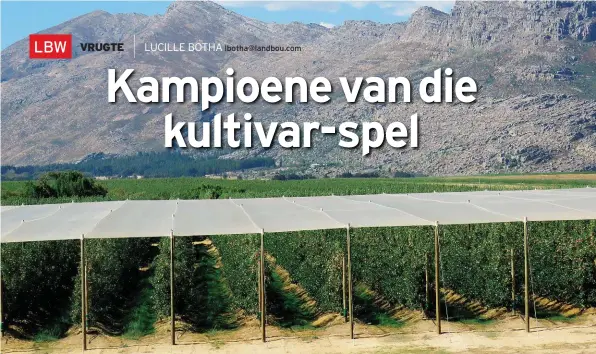  ??  ?? Die appelboord van die toekoms. In hierdie boord probeer die Dutoit Groep om vinniger te vorder met nuwe tegnologie. Rosy Glowappels word byvoorbeel­d op ’n MM109-onderstam, wat sterk groei, en ’n M9-tussenstam geplant. Die M9-stam is op almal se lippe...