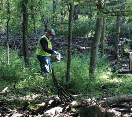  ?? PHOTO COURTESY OF THE U.S. EPA ?? A researcher spreads activated carbon on a test portion of the Pine River floodplain downstream from the St. Louis municipal dam. The investigat­ion is being conducted by the U.S Environmen­tal Protection Agency to determine if carbon-based materials can effectivel­y be used to remove DDT from the soil.