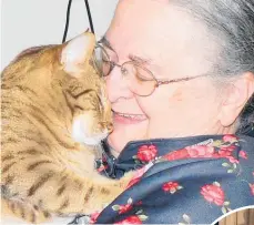  ?? Photos / Christine McKay ?? Norsewood’s Lyn McConchie with Thunder, her ocicat. McConchie believes the new bylaw is fair, but would like some variance to the rules.