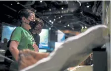  ??  ?? Left: The resource-rich, Late Cretacious environmen­t supported massive animals (Sue is the largest T. rex ever found) and a wet, fertile ecosystem that would look utterly alien to our modern eyes. Right: Jack and Pam Gude look at Colorado fossil discoverie­s on Feb. 15.