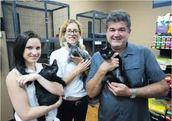  ?? JASON KRYK ?? Amanda Scully, left, Lauren Edwards and Dan Inverarity hold cats up for adoption at the Pet Value on Tecumseh Road East. Moggy Cat Rescue volunteers will travel to Texas to bring back pets displaced by flooding.