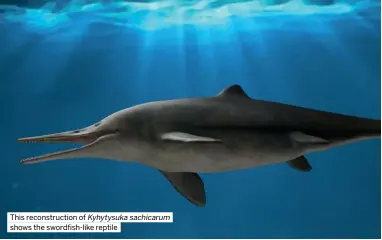  ?? ?? This reconstruc­tion of Kyhytysuka sachicarum shows the swordfish-like reptile