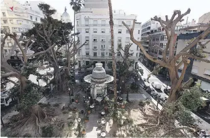  ?? Foto: Ángel García ?? Das Blätterdac­h des Portal de Elche wurde mit 30 Meter hohen Kränen entfernt.