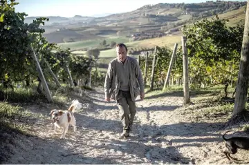  ??  ?? Monchiero searches for truffles with his dogs in Verduno near Alba, northweste­rn Italy.