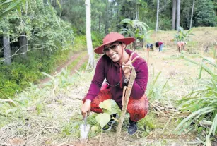  ?? ?? Tanaania is all smiles after planting a Blue Mahoe seedling.