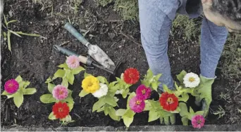  ?? [XOÁN A. SOLER] ?? Aunque el interés por el jardín y la huerta se disparó el año pasado, sigue ganando adeptos