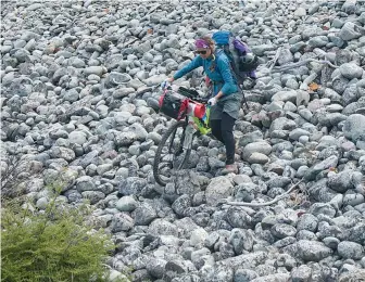  ??  ?? Cuando encontramo­s el puente tuvimos que bajar una fuerte pendiente de rocas. Al salir de O’Higgins el bosque se llenó de curiosas vacas que nos miraban pasar.