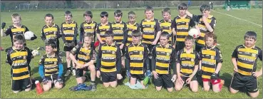  ?? ?? Our U11 team who will play in Páirc Uí Rinn on 11th June.