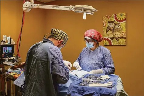  ?? Associated Press photos ?? Dr. Alexandra Kintz-Konegger, of K.Vet Animal Care, operates on a male boxer while being assisted by Dr. Benjamin Kinnamon, left, at her veterinary clinic in Greensburg, Pa. Most pets hate visiting the vet. Now it’s becoming a lot more unpleasant for their owners, too. America’s worst bout of inflation in four decades has swollen the cost of your dog or cat’s visit to the animal doctor.