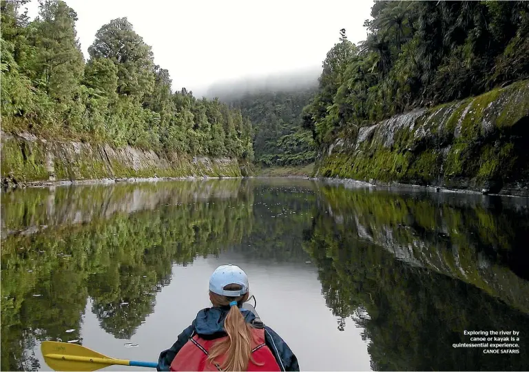  ?? CANOE SAFARIS ?? Exploring the river by canoe or kayak is a quintessen­tial experience.