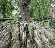  ??  ?? Legacy: The Hardy Tree at St Pancras Old Church
And each to each exclaims in fear: “I know not which I am!” ’