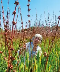  ??  ?? ABOVE Loubie Rausch is an expert on indigenous edible plants. She likes to share her knowledge, because she believes everyone deserves to eat healthy and affordable food.