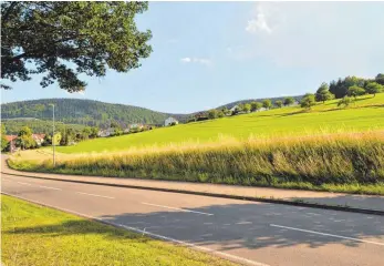  ?? FOTO: JENS GESCHKE ?? Bereits im Januar dieses Jahres war die Lehrhalde in Seitingen- Oberflacht Thema im Gemeindera­t. Nun soll auf der Wiese ( rechts) möglichst bald Bauland zur Verfügung stehen.