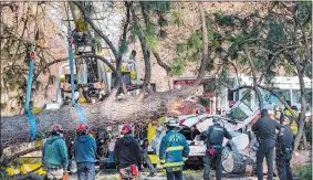  ?? COLIN MULVANY/THE SPOKESMAN-REVIEW VIA AP ?? Crews remove a large ponderosa pine that fell on a vehicle, killing a woman during a windstorm Wednesday in Spokane, Wash.