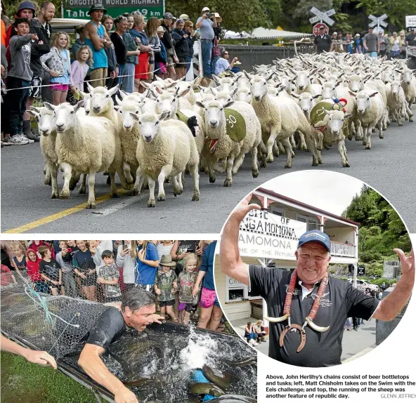  ?? GLENN JEFFREY ?? Above, John Herlihy’s chains consist of beer bottletops and tusks; left, Matt Chisholm takes on the Swim with the Eels challenge; and top, the running of the sheep was another feature of republic day.