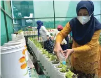  ?? GALIH WICAKSONO/JAWA POS ?? PEREMPUAN BERDAYA: Siti Fitriyah memanfaatk­an eco-enzyme yang dibuat dari sampah organik untuk penyubur tanaman.