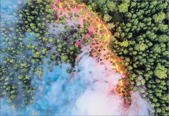  ?? GREENPEACE / REUTERS ?? Incendio en la región de Krasnoyars­k, que está pasando un verano con temperatur­as entre cinco y diez grados por encima de la media