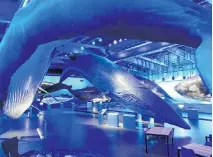  ?? PARKER O’HALLORAN/WASHINGTON POST ?? The full-scale blue whale is the centrepiec­e of the collection at the Whales of Iceland museum, which opened in Reykjavik in February.