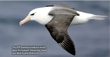  ??  ?? The 2019 Yearbook included an article about the hookpod, a device that should save Black-browed Albatrosse­s