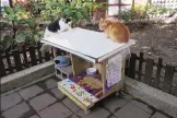  ??  ?? Street cats Pipi, left, and Laoda sit on the roof of a Midnight Cafeteria. The houses help ensure stray cats get fed well and residents don’t have to deal with a mess.