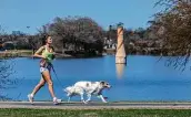  ?? Photos by William Luther / Staff photograph­er ?? A jogger and dog make their way around Woodlawn Lake on Monday, as temperatur­es reached the mid-70s, far above what the city felt a week earlier.