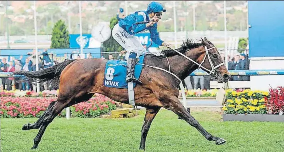  ?? FOTO: AGENCIAS ?? ‘Winx’ entra en la leyenda con un total de 25 victorias consecutiv­as