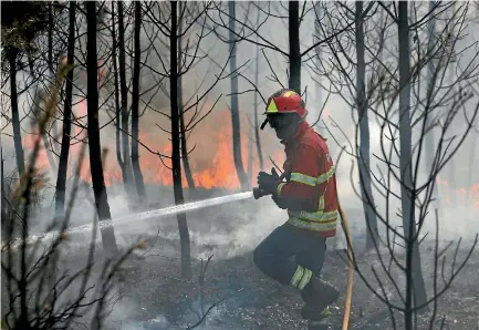  ?? PHOTO: REUTERS ?? A firefighte­r works to put out a blaze in a forest at Carvalho, near Gois, yesterday as huge fires continue to ravage central Portugal.