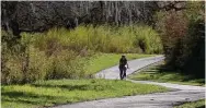  ?? Lisa Krantz / Staff photograph­er ?? A cyclist cruises down the Salado Creek Greenway earlier this month. The Howard W. Peak Greenway Trails System offers beauty and refuge amid a busy city.