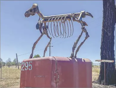  ??  ?? Hungry as... Forget about the 'Dog on the tuckerbox' - spare a thought for this once-woollen version of the famous Aussie icon. Sitting in thick scrub about half an hour south of Dubbo and it's obvious poor Mr Ram doesn't have access to the refrigerat­or beneath him.