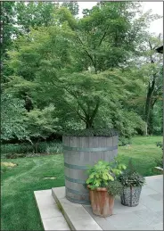  ?? For The Washington Post/NICK MCCULLOUGH ?? Planters can define key edges of the garden. Here, designer Nick McCullough has used the upright Japanese maple Seiryu.