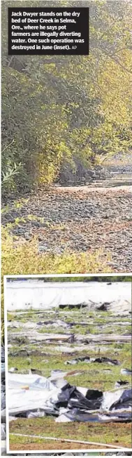  ?? AP ?? Jack Dwyer stands on the dry bed of Deer Creek in Selma, Ore., where he says pot farmers are illegally diverting water. One such operation was destroyed in June (inset).