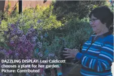  ?? Picture: Contribute­d ?? DAZZLING DISPLAY: Lexi Caldicott chooses a plant for her garden.