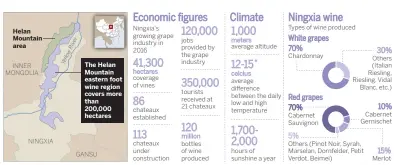  ?? CHINA DAILY ?? Source: Ningxia Grape Industry Developmen­t Bureau