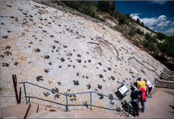  ?? PROVIDED BY DINOSAUR RIDGE ?? Dinosaur Ridge is home to the No. 1 dinosaur tracksite in America for the number and variety of tracks, and the ease of accessibil­ity for visitors. This was a beach that attracted plant and meat- eaters as well as ancient crocodilia­ns.