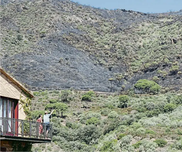  ??  ?? Uns veïns del Port de la Selva contemplan­t des del balcó la zona arrasada per l’últim gran incendi forestal a Catalunya