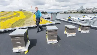  ??  ?? Harbour Air president Randy Wright inspects the new bee hives on the terminal rooftop.