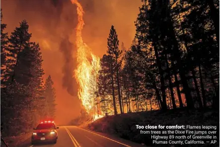  ?? — ap ?? Too close for comfort: Flames leaping from trees as the dixie Fire jumps over Highway 89 north of greenville in Plumas County, California.