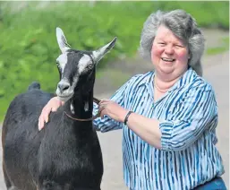  ??  ?? Agnes Aitken has a wealth of experience and will judge the goats at the Scottish Agricultur­al Show.