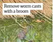  ??  ?? Remove worm casts with a broom