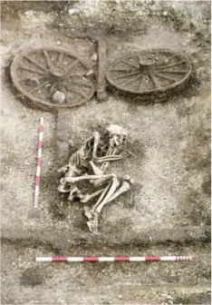  ??  ?? Above: Chariot burial at Site x, excavated in 2017 in the Humber/Wolds area (scales 1m)