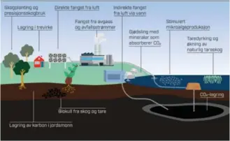  ??  ?? Eksempler på ulike måter å fjerne klimagasse­r fra atmosfæren på. Illustrasj­on: Sintef