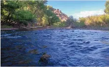  ?? ROBERT BROWMAN/JOURNAL ?? The Gila River flows south of Cliff, Grant County, in June 2019. Senate Bill 212 would amend the makeup of the Interstate Stream Commission, which recently voted to end planning on a controvers­ial Gila diversion project.