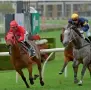  ?? AFP ?? Redzel (left) beat Vega Magic in Sydney. —