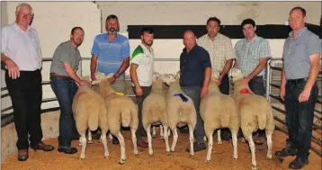  ??  ?? The Tullow Sheep Breeders’ Associatio­n Cheviot category winners.