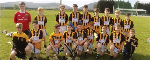  ??  ?? The Abbeydorne­y hurling team that took part in the Féile County hurling play-offs last weekend